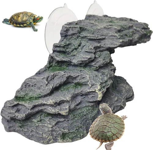 Vista 13 de kathson Plataforma para tomar el sol de tortuga, rampa de escalada de tortugas para bebé, esquisto, reptiles, muelle, terraza, piedra, pequeño