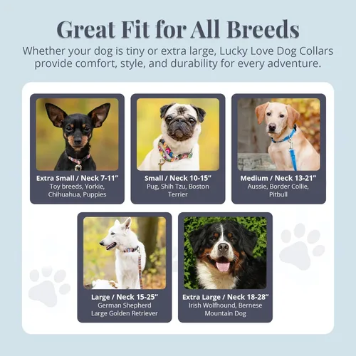 Vista 3 de Lucky Love Dog - Collar de perro ajustable con hebilla de fácil clic para pequeños a grandes, duradero y cómodo para perros machos y hembras, collar