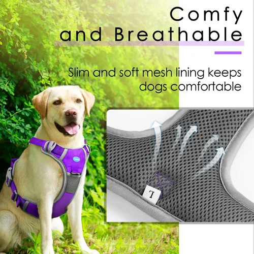 Vista 3 de ThinkPet Juego de arnés deportivo transpirable con asa, chaleco de seguridad acolchado reflectante para perro con correa reflectante de neón