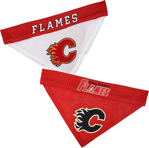 Vista 18 de Bandana de Pets First