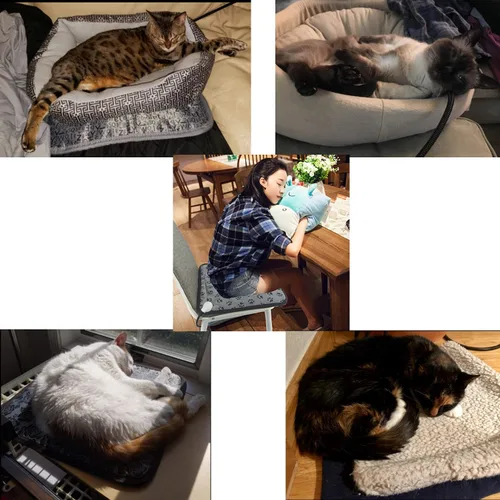 Vista 5 de Almohadilla térmica DEOMAN para perros pequeños y gatos, cama calentada eléctrica para interiores, impermeable, almohadilla térmica para gatos
