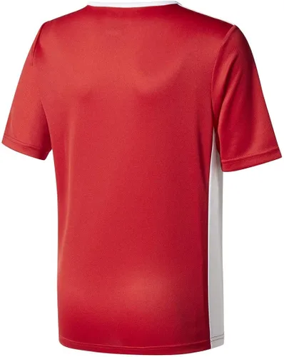 Vista 2 de adidas Boys Entrada 18 Jersey