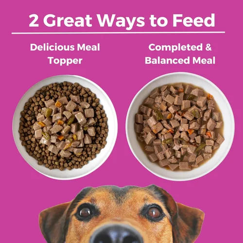 Vista 5 de KOHA Santa Fe - Estofado de sartén para perros con carne de res y cerdo, comida húmeda para perros con alto contenido de proteínas, latas de 12.7