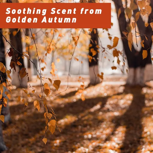 Vista 4 de Aceite aromático de otoño, juego de aceites esenciales de otoño de ESSLUX para hacer velas de jabón, aceites esenciales perfumados de otoño