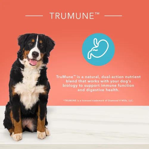 Vista 6 de Blue Buffalo True Solutions Livin' - Alimento seco natural grande para perros adultos de raza grande, pollo, 24 libras