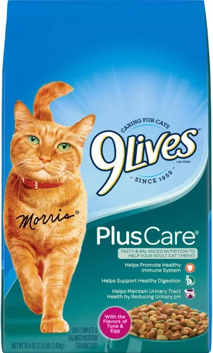 9Lives Plus Care Alimento seco para gatos, bolsa de 3.15 libras (paquete de 4)