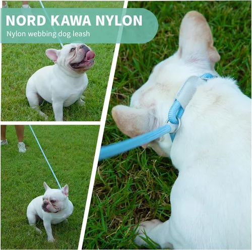 Vista 6 de Correas antideslizantes para perros, 3 piezas de correa antideslizante fuerte, correa deslizante de 5 pies para perro, correa ajustable