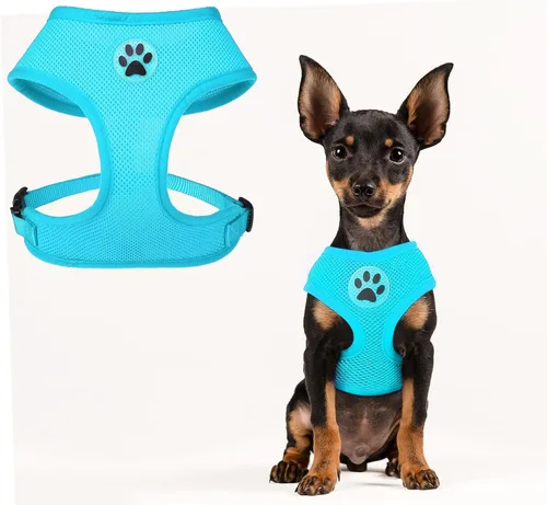 Vista 26 de BINGPET Arnés para perro sin tirones, arnés de chaleco tipo step-in de malla para todo clima para perros pequeños, arnés de malla transpirable