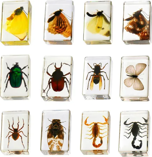 Colección de 12 piezas de insectos en resina, juego educativo de especímenes de insectos para niños, perfecto para preescolar, ciencia de aula y