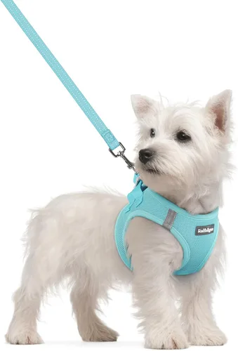 Vista 39 de rabbitgoo Juego de arnés para perro, tamaño pequeño y correa, chaleco ligero suave para cachorro, arnés de malla transpirable para mascotas, Negro