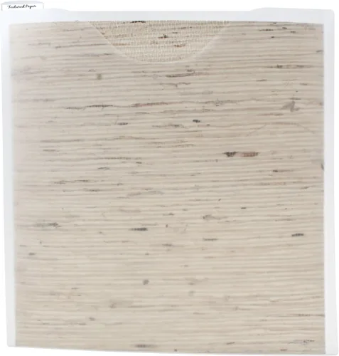 Storage Studios - Archivos de papel, paquete de 3, 12.75 x 12.95 x 0.13 pulgadas, transparente (CH92602)