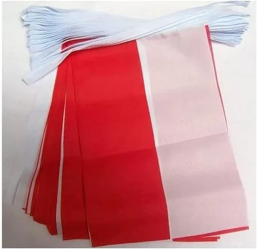 Vista 9 de Guatemala 19.7 ft BUNTING Flag 20 banderas 9'' x 6'' - Banderas de cuerda guatemalteca 5.9 x 8.3 in - AZ FLAG