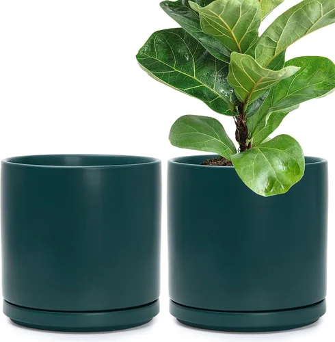 Vista 18 de D'vine Dev - Juego de 2 macetas de plantas de 3.5 pulgadas, maceta de cerámica para plantas con agujero de drenaje y platillo, negra, 94-V-A-2