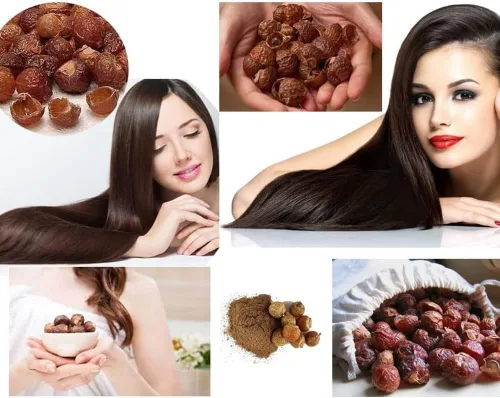 Aritha Powder 4 oz (113g) | 100% puro y orgánico reetha cultivado en polvo de soapnut artesanal silvestre | Champú y acondicionador natural para el