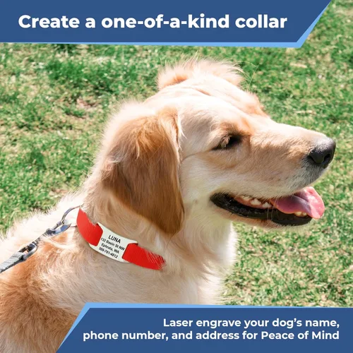 Vista 3 de GoTags Collar reflectante para perro con placa de identificación personalizada, collar de perro ajustable con placa de identificación de mascota
