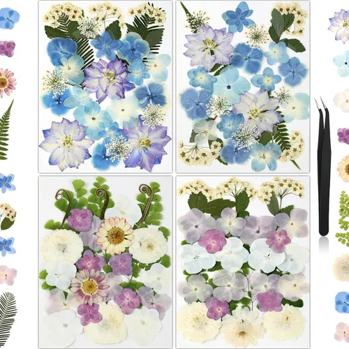100 piezas de flores prensadas secas de hortensias para manualidades de Hortensia 100pcs