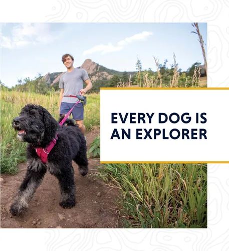 Vista 9 de Ruffwear, Front Range - Collar para perro, correa ajustable Tubelok, ligero, hebilla de liberación lateral, anillo en V de aluminio, duradero