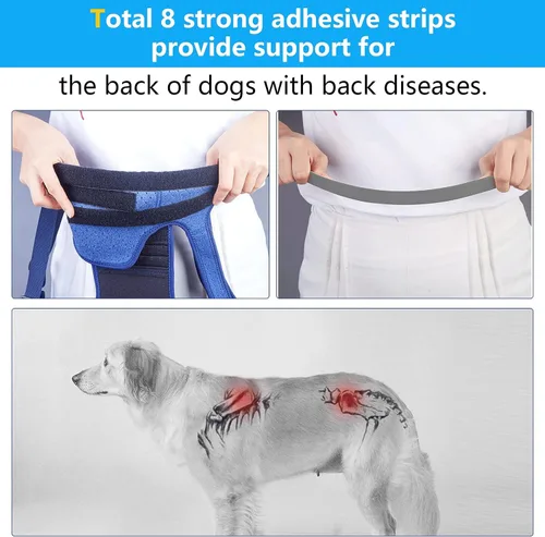 Vista 3 de Coodeo Soporte de espalda para perros para artritis, soporte de espalda para mascotas para IVDD, protector de espalda ayuda a aliviar el dolor