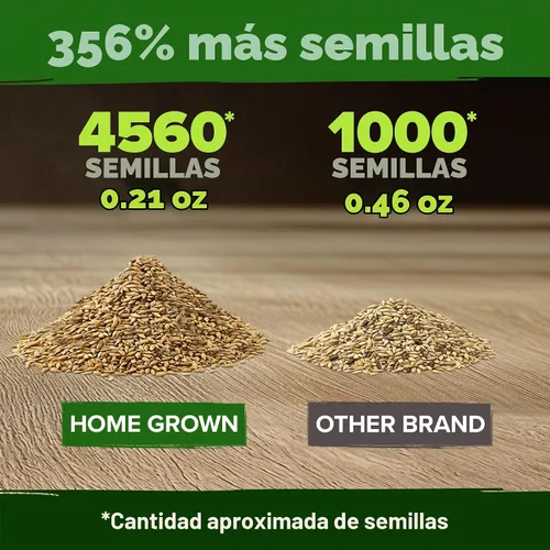 Vista 767 de HOME GROWN Golden West Poppy 6000 Semillas de flor Eschscholzia californica