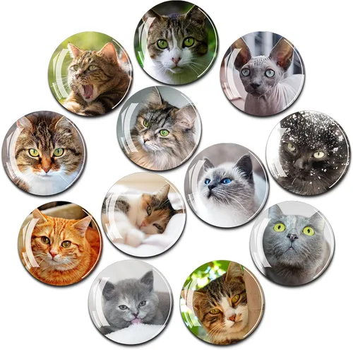 Vista 15 de 12 piezas de imanes de vidrio para nevera, adhesivo para nevera, decoración de imanes para nevera, imanes fuertes para nevera para cocina, gabinete