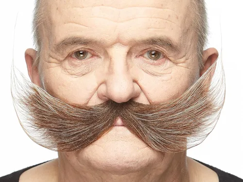 Mustaches Bigote falso de pescador autoadhesivo, novedad, pelo facial falso, accesorio de disfraz para adultos, color marrón y gris