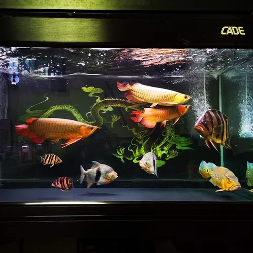 Vista 7 de 2 hojas de plexiglás negro de 1/4 pulgadas de grosor, panel cuadrado de plexiglás fundido opaco, tablero de plástico de 11.8 x 11.8 pulgadas