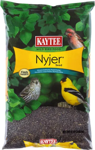 Vista 13 de Kaytee Nyjer - Semilla de comida para pájaros silvestres, 3 libras