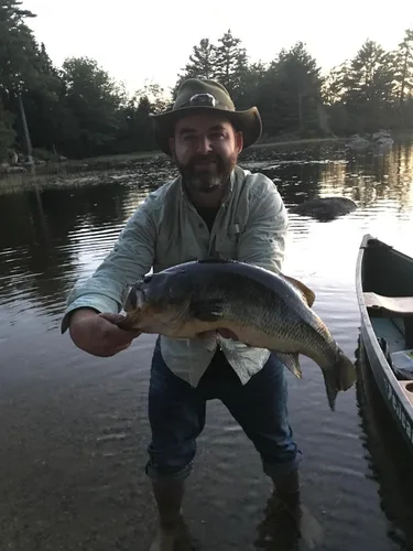 Vista 5 de Supertrip Topwater Frog Crankbait Tackle Crank Bait Bass Soft Swimbait Señuelos Crankbaits cebos de pesca de cebo duro (multicolores)