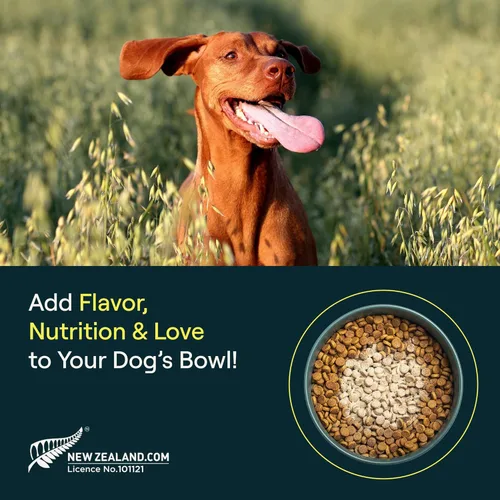 Vista 4 de POP-Topper - Comida para perros – Polvo multivitamínico para perros de 35 libras en adelante – Deliciosa base de caldo de huesos con 6