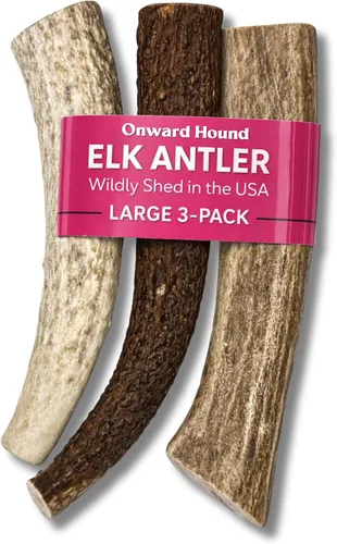Vista 11 de Onward Hound - Cuernos de alce para perros, tamaño mediano entero de 6 pulgadas +, 1 paquete Sized for dogs 15–35 lb. Grade A, naturally shed in