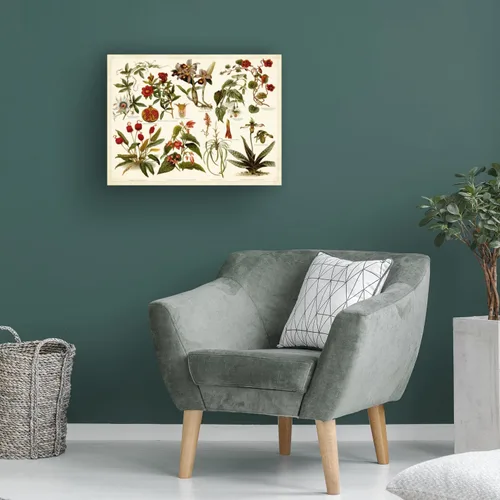 Vista 4 de Trademark Fine Art, Tabla de botánica tropical Ii de 18x24 pulgadas por Meyers