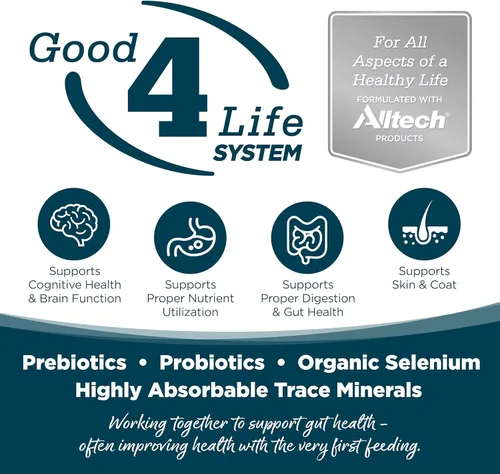 Vista 3 de NutriSource Alimento seco para perros adultos, bocados pequeños, pollo y arroz, 4 libras