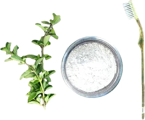 Vista 3 de Polvo dental con menta y mirra Pasta de dientes natural Sin flúor Blanqueamiento Pulido Valhalla Spa Organics 1.5 oz