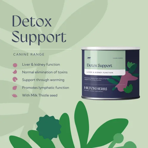 Vista 4 de Hilton Herbs Canine Detox Support Suplemento de función hepática herbaria para perros, bañera de 4.4 onzas