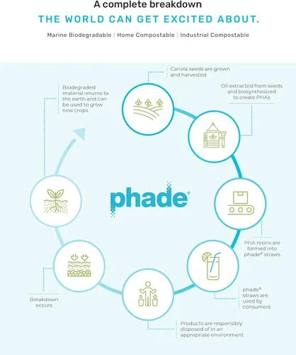 Vista 5 de phade Pajitas Boba colosales ecológicas de 9.0 pulgadas para batidos y batidos, sin envolver, 180 unidades, compostables, biodegradables marinos