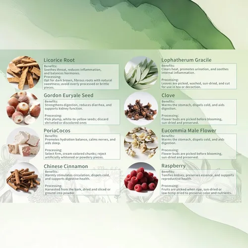 Vista 3 de Monbrizz Té de hierbas de próstata, suplementos para la salud de la próstata para hombres, té medicinal tradicional, broches, raíz de diente