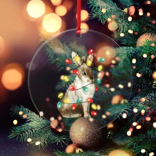 Custom Clear Ornament Rabbit with Christmas String Lights Colorful Acrylic Ornament Bunny Lover for Boys Girls Clear Christmas Decoration
