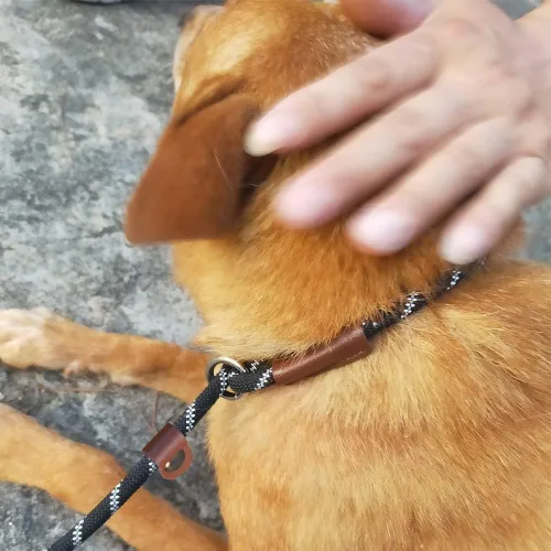 Vista 7 de Correa antideslizante de 7 pies para perros pequeños, correa de entrenamiento para cachorros sin tirones, correa de cuerda antideslizante ligera
