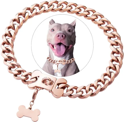 Vista 8 de Collar de acero inoxidable dorado para perros pequeños, medianos y grandes, collar de perro Bulldog francés con seguridad