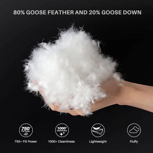 Vista 4 de Homyrium Edredón de plumas de ganso tamaño QueenMatrimonial, pesado para invierno, extra cálido, 100% algodón, edredón de plumón Queen 750+ relleno