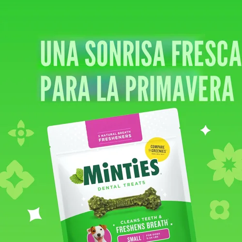 Vista 2 de Minties VetIQ - Golosinas dentales para perros, masticables dentales para perros pequeños/pequeños (menos de 40 libras), 40
