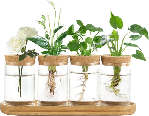 Vista 8 de Dahey Jardinera de cristal azul para propagación de plantas con tapa y soporte de madera para propagación de plantas hidropónicas, centro de mesa