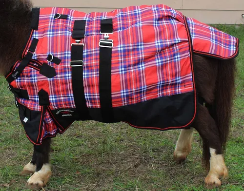 Vista 2 de Manta de invierno de 36 "1200D en miniatura de burro de destete poni caballo potro rojo blanco azul 51972B