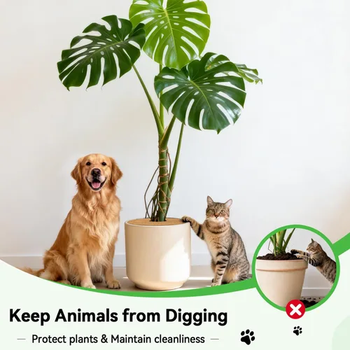 Vista 6 de ZeeDix Paquete de 6 Anillos de Mantillo de Fibra de Coco, Anillo de Mantillo de Fibra de Coco de 24 Pulgadas, Tapete Protector de Árboles 100%