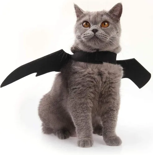 Vista 2 de Disfraz de Halloween para gato, alas de murciélago, ropa para mascotas, accesorios de disfraz para fiesta de Halloween, accesorios para gatos