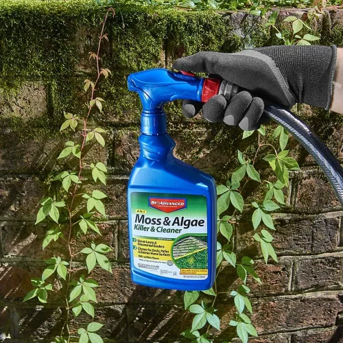 Vista 6 de BioAdvanced Limpiador y asesino de musgos y algas 2 en 1, listo para rociar, 32 onzas con control de hongos BioAdvanced para césped, listo