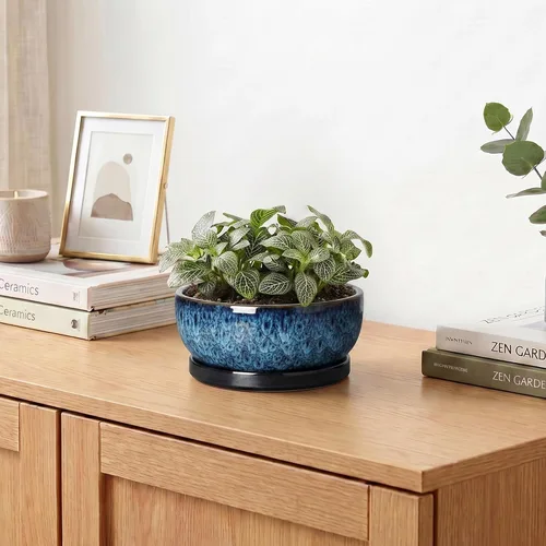 Vista 6 de Succulent Pots, 6 Inch Ceramic Bonsai Pots with Saucer, Blue