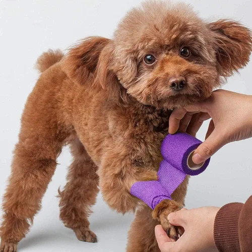 Vista 8 de LotFancy Envoltura veterinaria para caballos perros, paquete de 10, envoltura autoadhesiva de 2 pulgadas x 5 yardas, cinta transpirable de primeros
