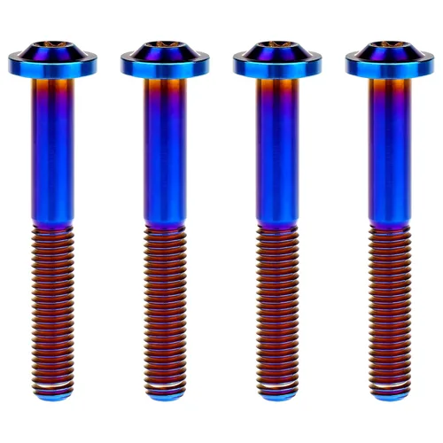 Vista 34 de Tornillos de cabeza Torx de titanio M8 10 15 20 25 30 60 2.756 in Tornillos de cabeza Torx paquete de 4 (M8x15mm, plateado)