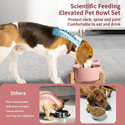 Vista 4 de Tazón elevado de cerámica para perros, 3.2 tazas de comida y agua para Rosa